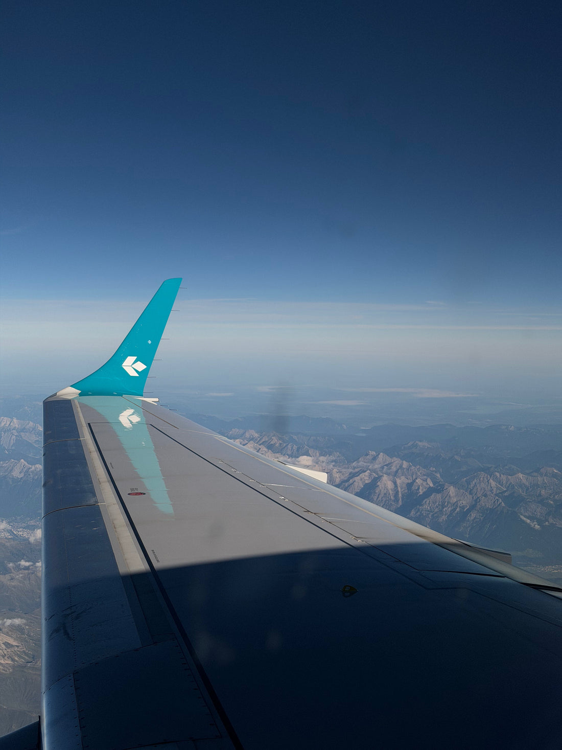 fliegen